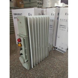 防爆电暖气（220V 1500W）BYT-1500