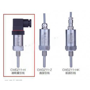 插入型温度变送器(具体参数定价)XY08-CWDZ11-H-01-A1-14-L100-G