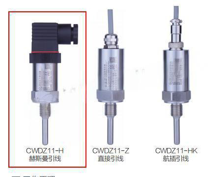 插入型温度变送器(具体参数定价)XY08-CWDZ11-H-01-A1-14-L100-G